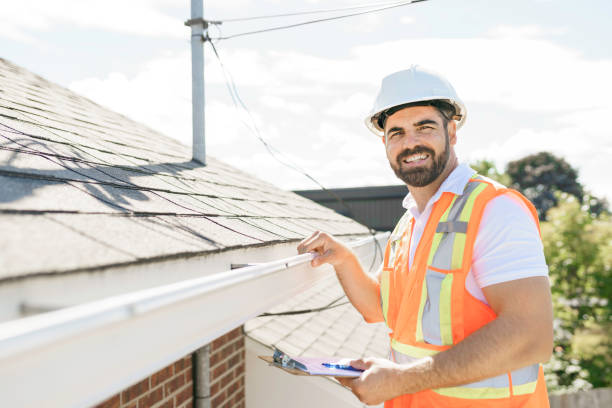 Best Roof Gutter Cleaning  in Brownsville, TN
