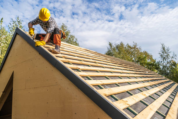 Best Storm Damage Roof Repair  in Brownsville, TN