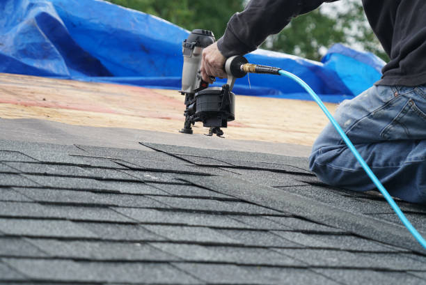 Best Residential Roofing Contractor  in Brownsville, TN